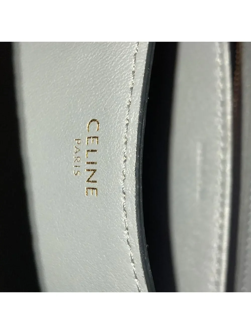Celine Classic Box Bag Lizard Teen #218588C22B